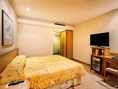 Hotel Windsor Asturias 3*